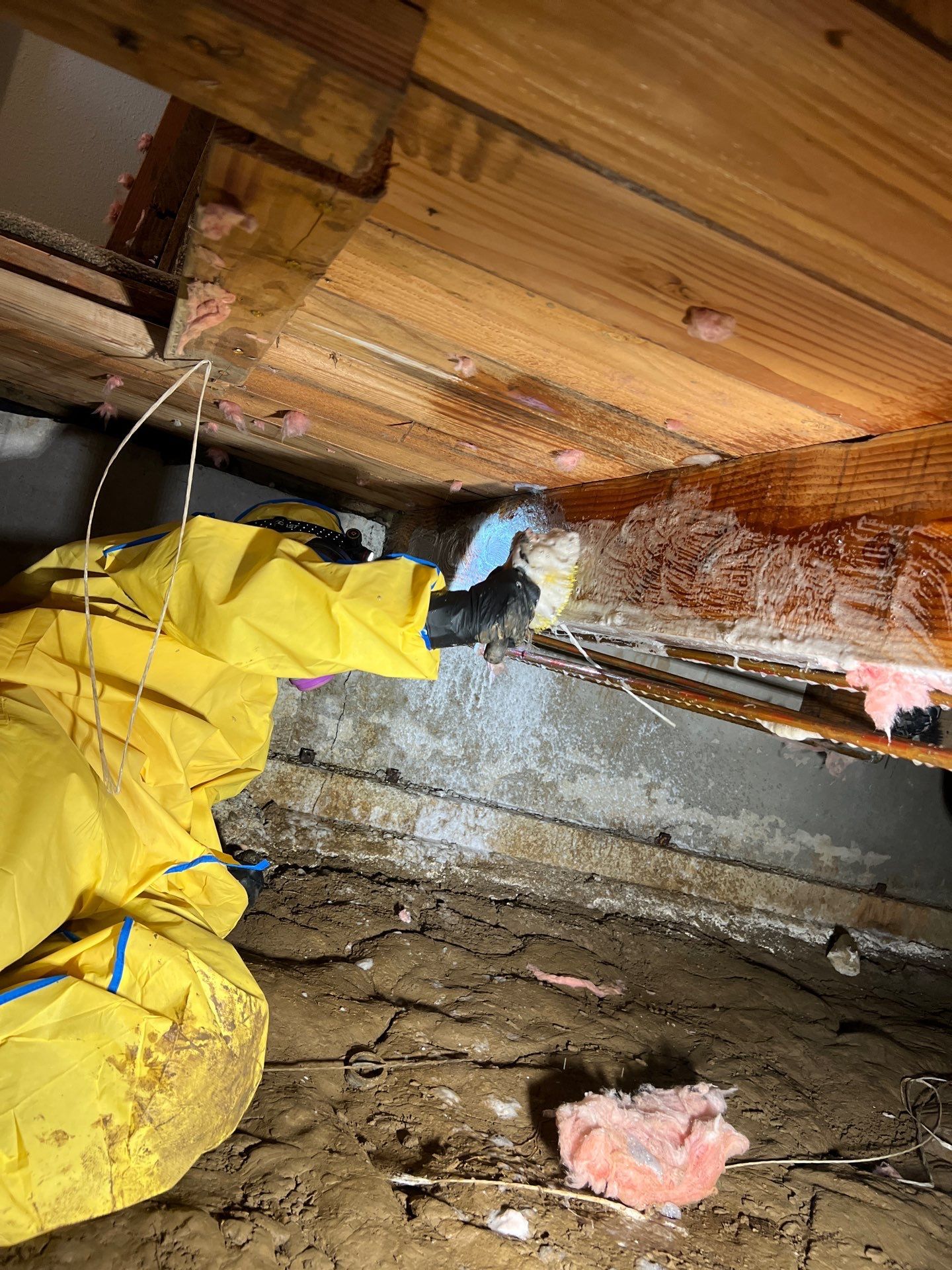 Blog post Sewage Backup Cleanup & Sanitization Services in Vancouver WA and Surrounding Areas image