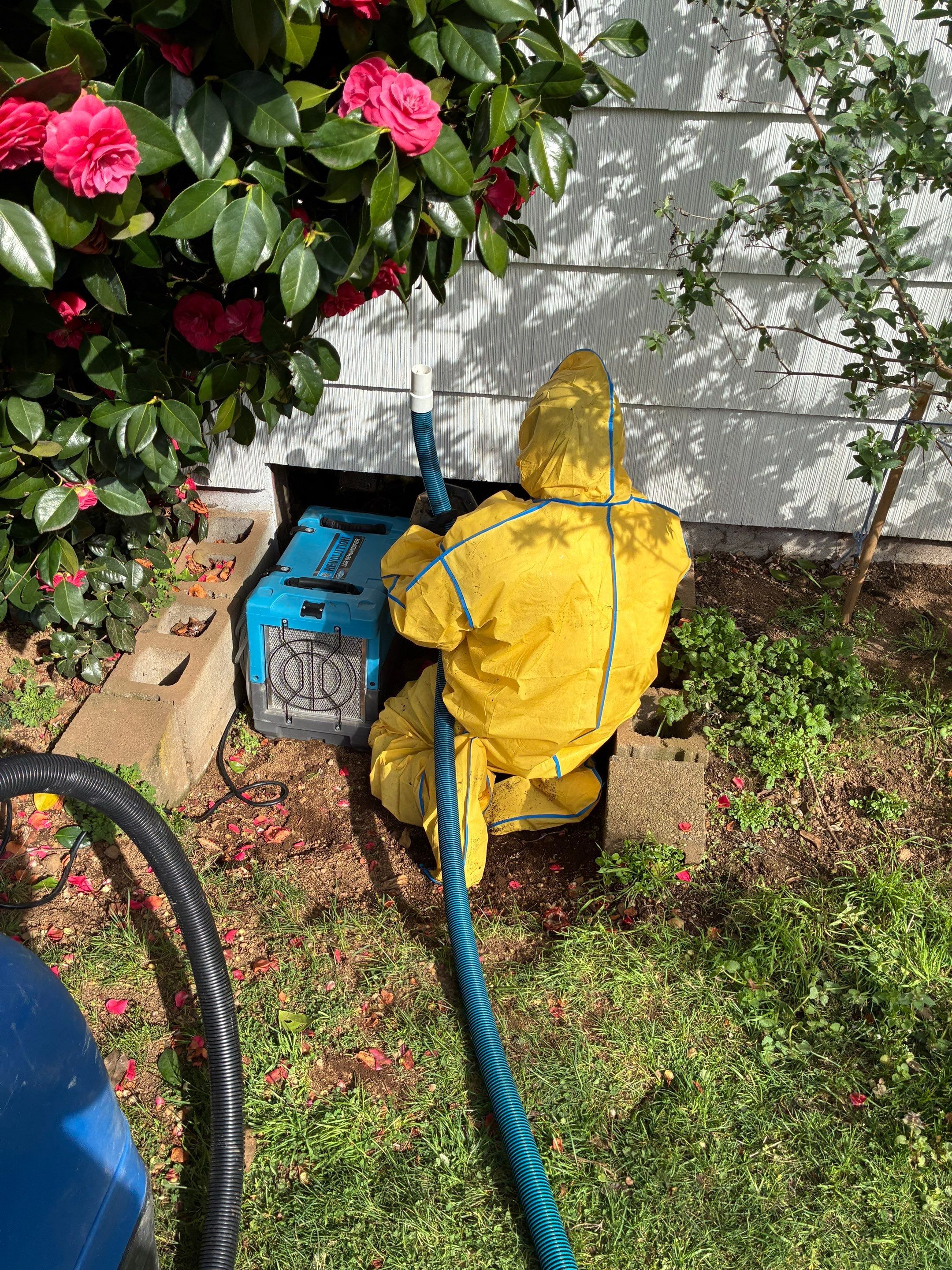 Blog post Water Leak in Your Home? Call Now Before The Damage Gets Worse image