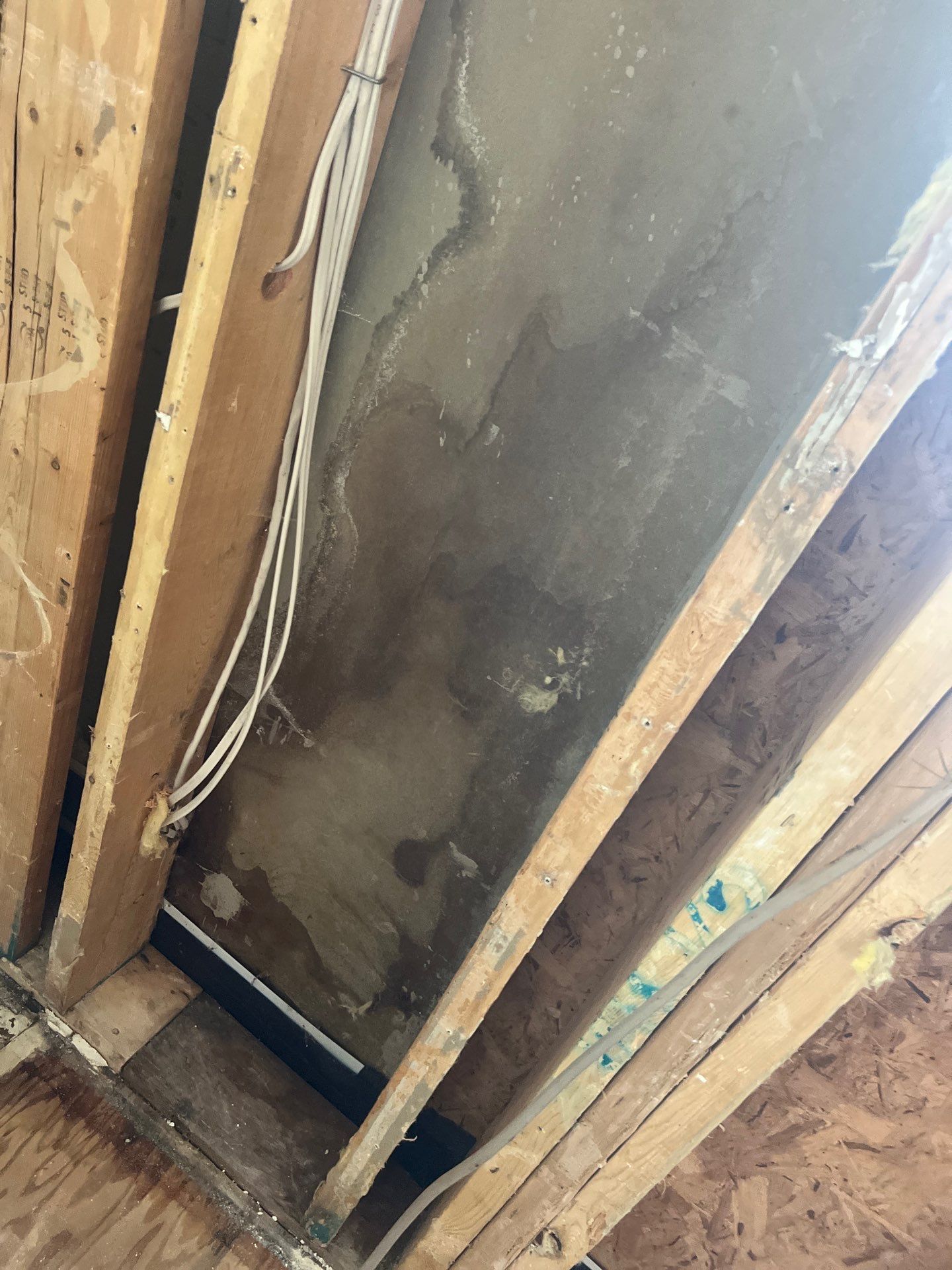 Roof Leak Water Damage - What It Really Looks Like Inside Your Walls